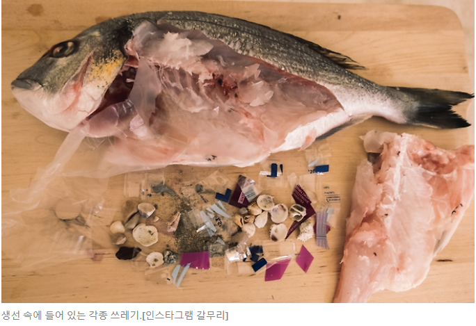 제목 : ‘이 정도인 줄은 몰랐다’ 발 닿는 곳마다 수두룩…선 넘은 민폐 쓰레기